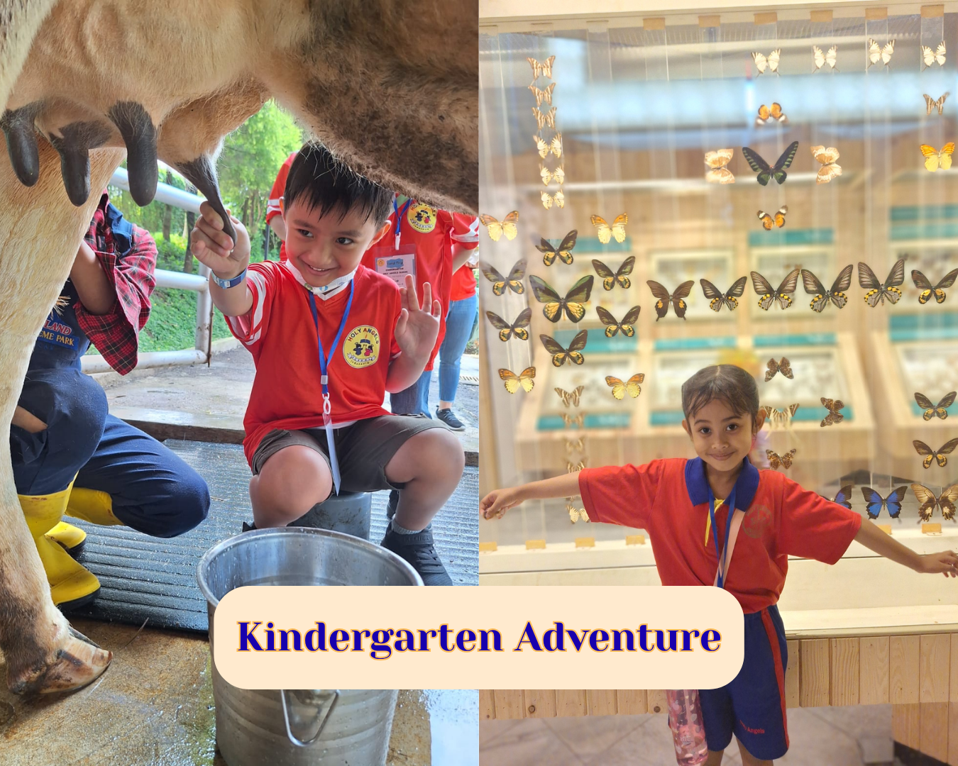 A Wild Adventure: Kindergarten Explores the Wonders of TMII